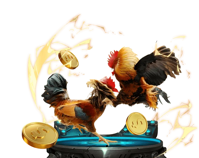 Trách nhiệm người dùng 8day8